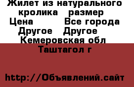 Жилет из натурального кролика,44размер › Цена ­ 500 - Все города Другое » Другое   . Кемеровская обл.,Таштагол г.